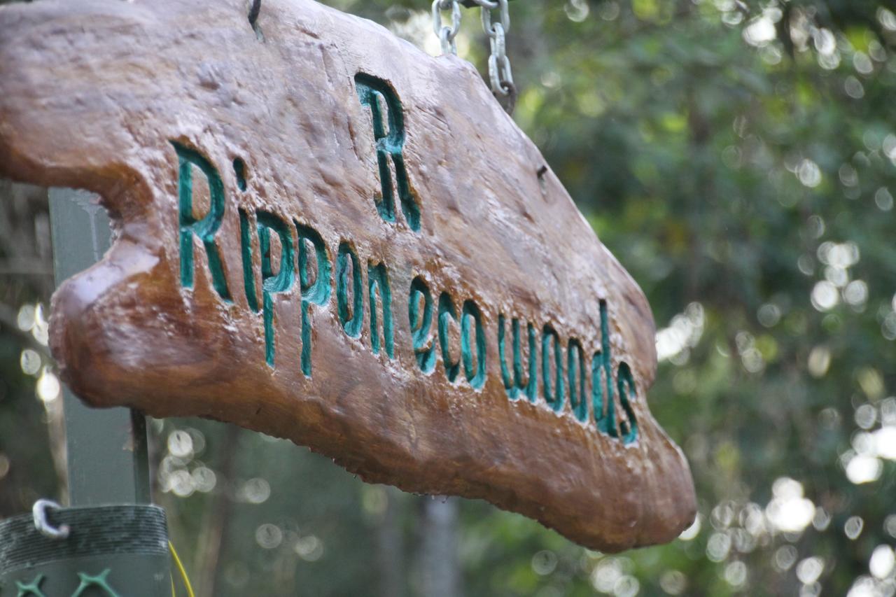 칼파타 Rippon Eco Woods 빌라 외부 사진