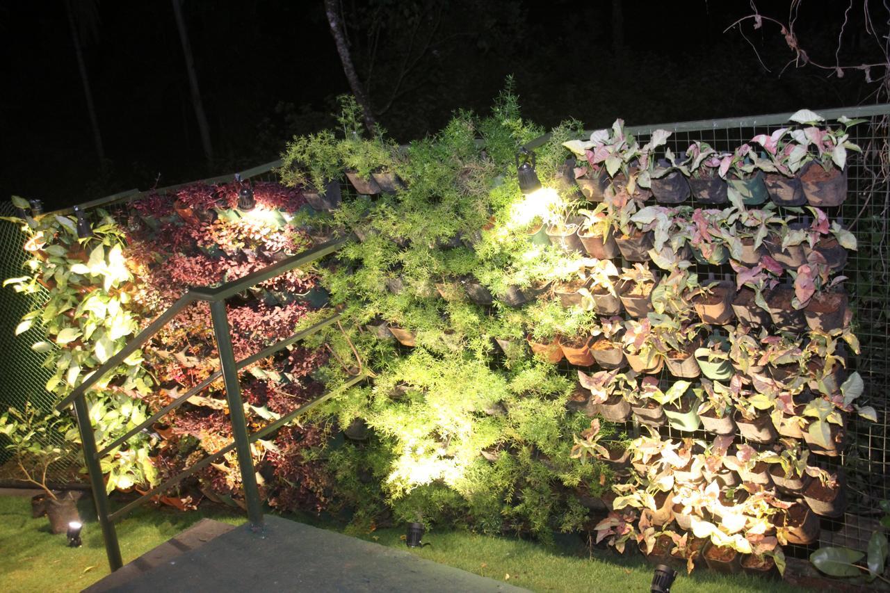 칼파타 Rippon Eco Woods 빌라 외부 사진