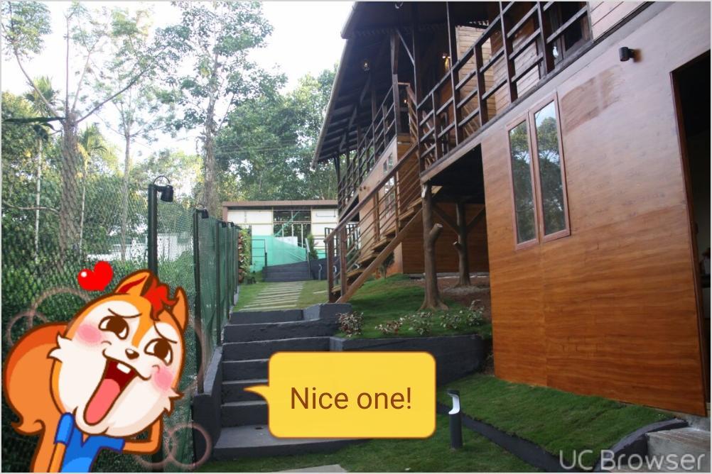칼파타 Rippon Eco Woods 빌라 외부 사진