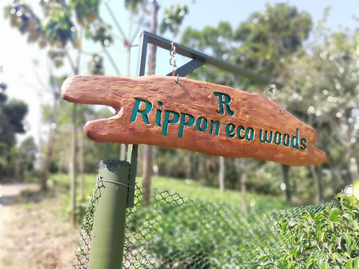 칼파타 Rippon Eco Woods 빌라 외부 사진