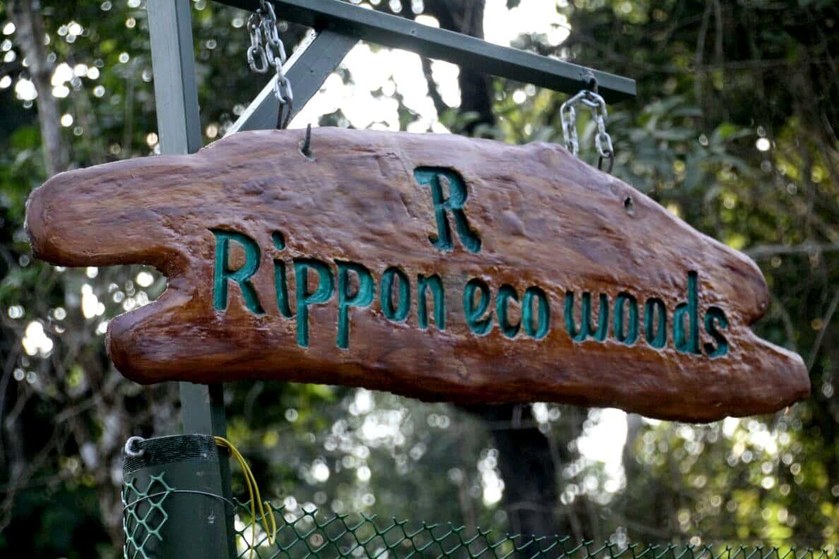 칼파타 Rippon Eco Woods 빌라 외부 사진